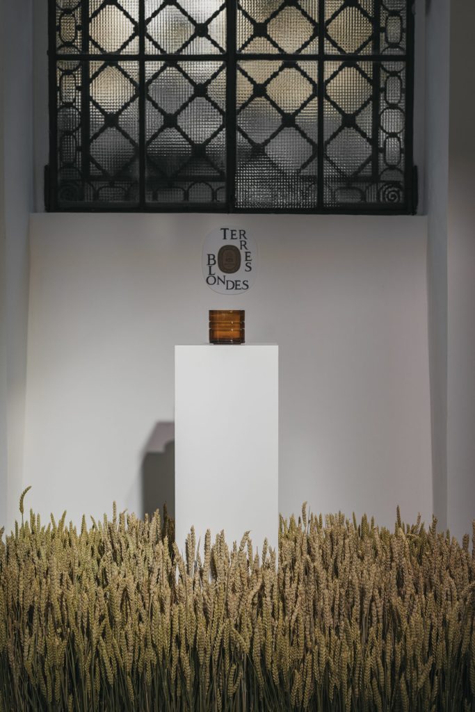 Diptyque project image 2